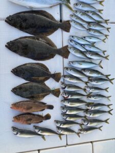 さぶろう丸 釣果