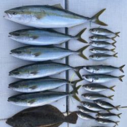 さぶろう丸 釣果