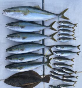 さぶろう丸 釣果