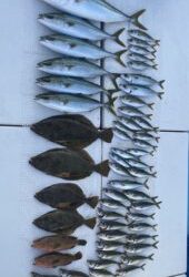 さぶろう丸 釣果