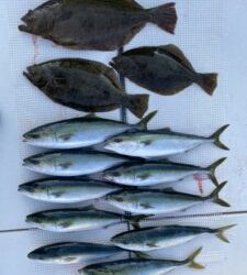 さぶろう丸 釣果