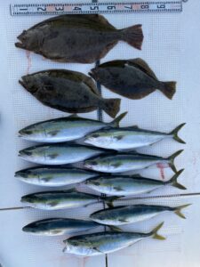 さぶろう丸 釣果