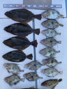 さぶろう丸 釣果