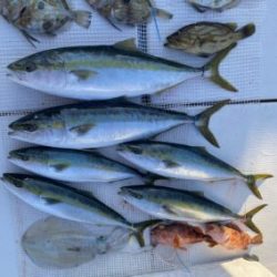 さぶろう丸 釣果