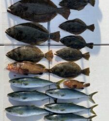 さぶろう丸 釣果