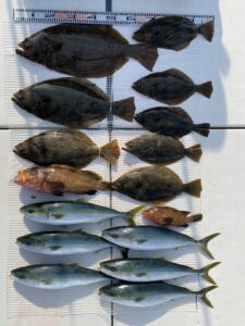 さぶろう丸 釣果