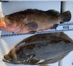 さぶろう丸 釣果