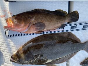 さぶろう丸 釣果