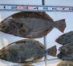 さぶろう丸 釣果