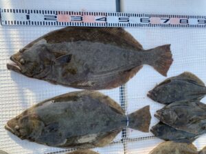 さぶろう丸 釣果