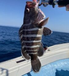 さぶろう丸 釣果