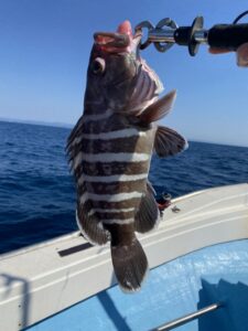 さぶろう丸 釣果