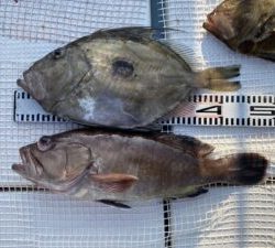 さぶろう丸 釣果