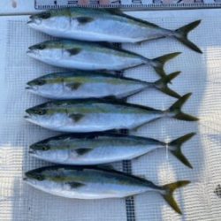 さぶろう丸 釣果