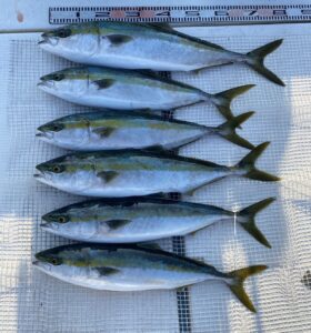 さぶろう丸 釣果