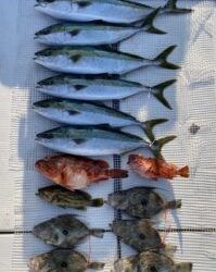 さぶろう丸 釣果