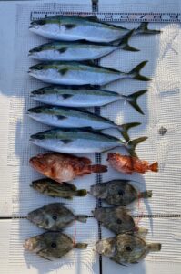 さぶろう丸 釣果