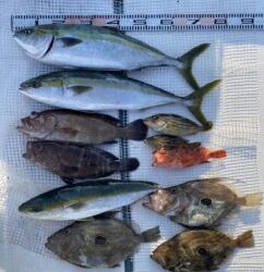 さぶろう丸 釣果