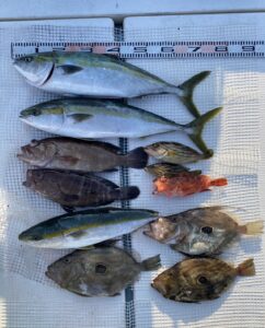 さぶろう丸 釣果
