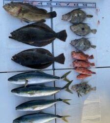 さぶろう丸 釣果