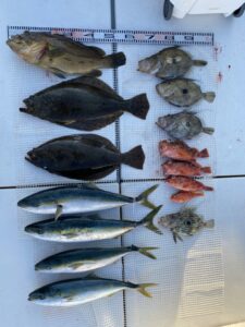 さぶろう丸 釣果