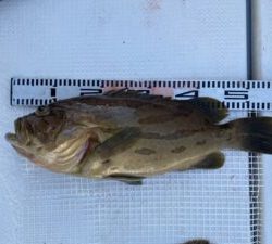 さぶろう丸 釣果