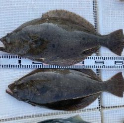 さぶろう丸 釣果