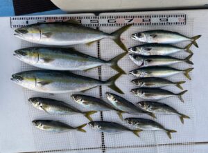 さぶろう丸 釣果