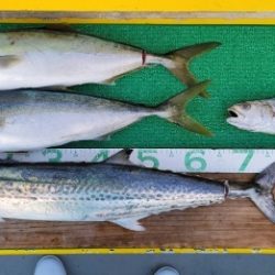 火遠理丸(ほおりまる) 釣果