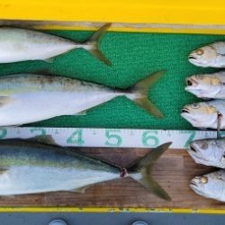 火遠理丸(ほおりまる) 釣果