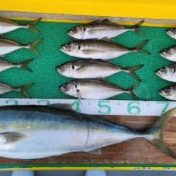 火遠理丸（ほおりまる） 釣果