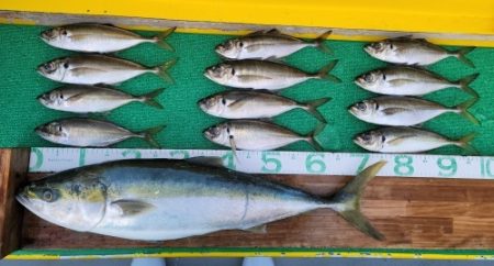 火遠理丸（ほおりまる） 釣果