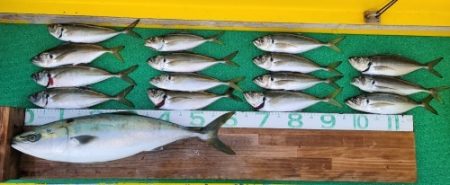 火遠理丸（ほおりまる） 釣果