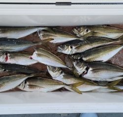 火遠理丸（ほおりまる） 釣果