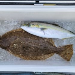 火遠理丸(ほおりまる) 釣果