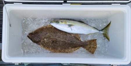 火遠理丸(ほおりまる) 釣果