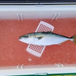 火遠理丸(ほおりまる) 釣果