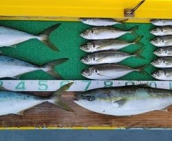 火遠理丸（ほおりまる） 釣果