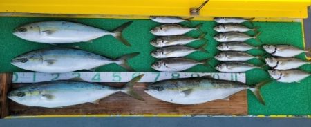 火遠理丸（ほおりまる） 釣果