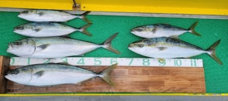 火遠理丸（ほおりまる） 釣果