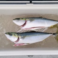 火遠理丸(ほおりまる) 釣果