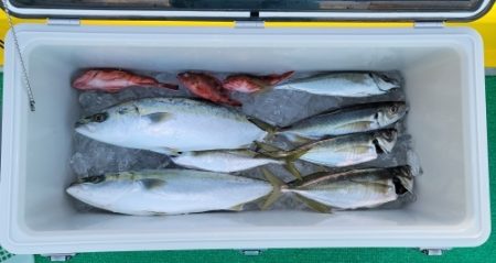 火遠理丸（ほおりまる） 釣果