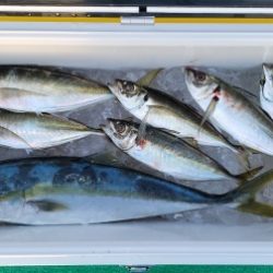 火遠理丸(ほおりまる) 釣果