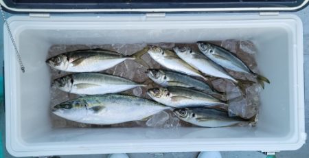 火遠理丸(ほおりまる) 釣果