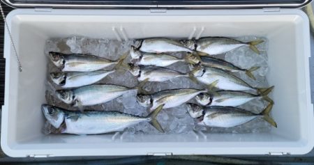 火遠理丸(ほおりまる) 釣果