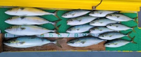 火遠理丸（ほおりまる） 釣果