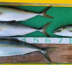 火遠理丸(ほおりまる) 釣果