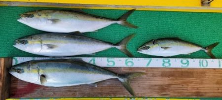 火遠理丸(ほおりまる) 釣果