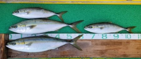 火遠理丸(ほおりまる) 釣果