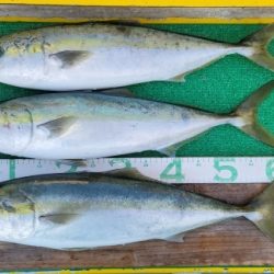 火遠理丸(ほおりまる) 釣果